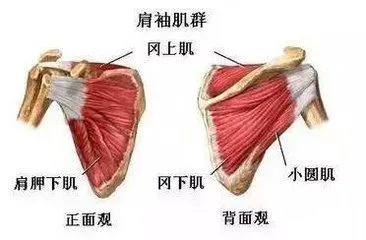 小学生篮球训练计划方案表_1
